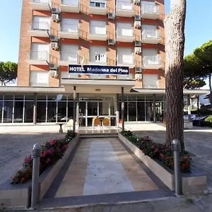 Madonna Del Pino Hotel Cervia